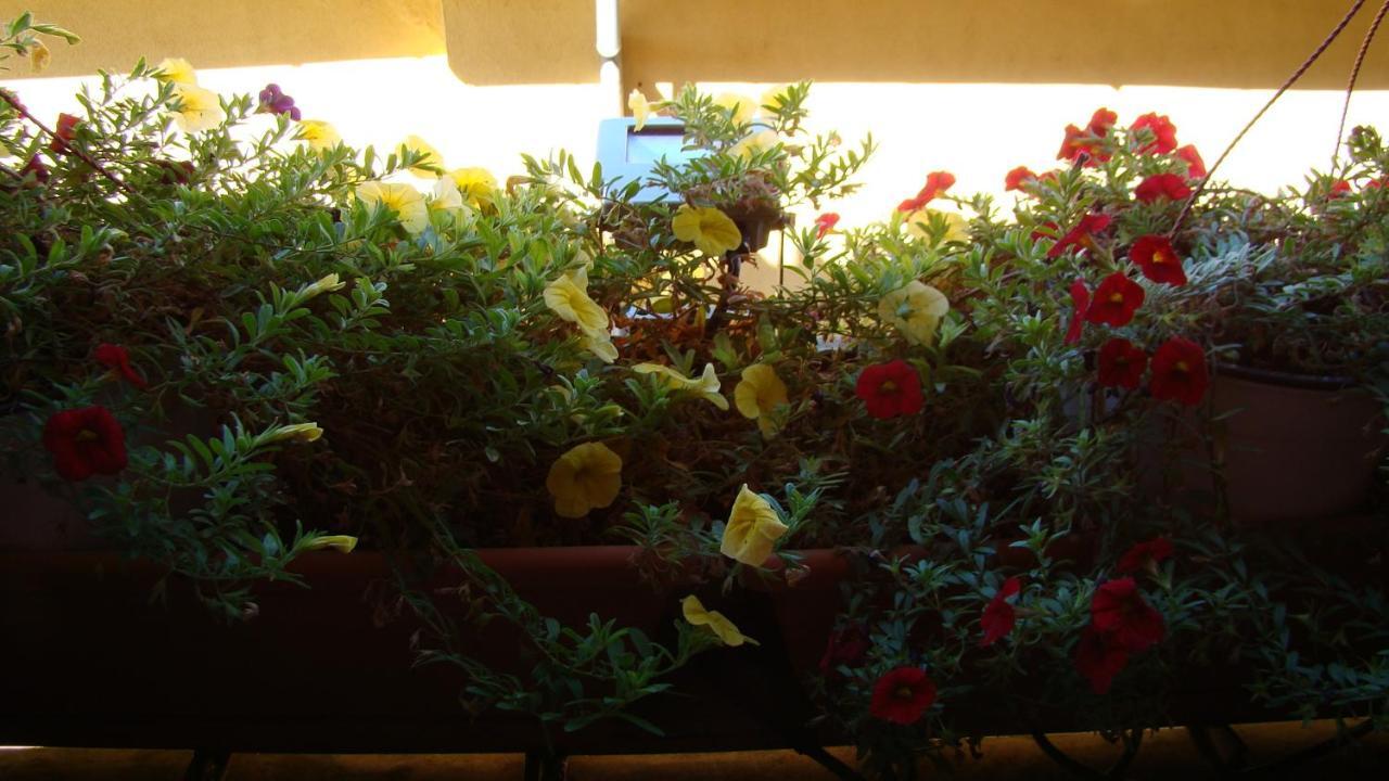Séjour à la campagne Casa Rural Piedrahíta ( Art Déco ) *